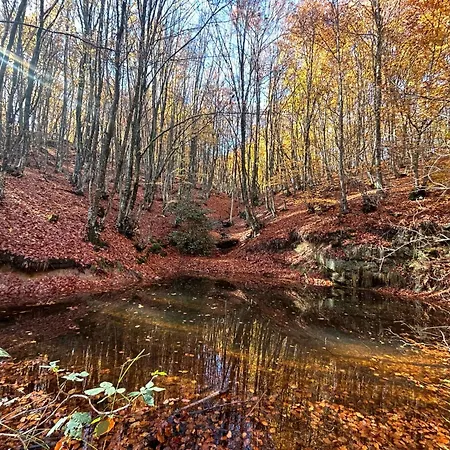 Mamali Apartmanhotel 3*