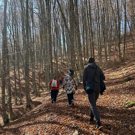 Mamali Apartmanhotel