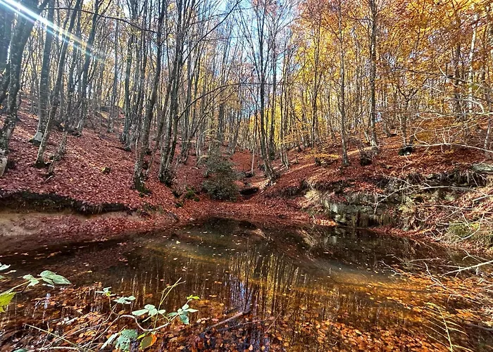 Mamali Aparthotel 3*